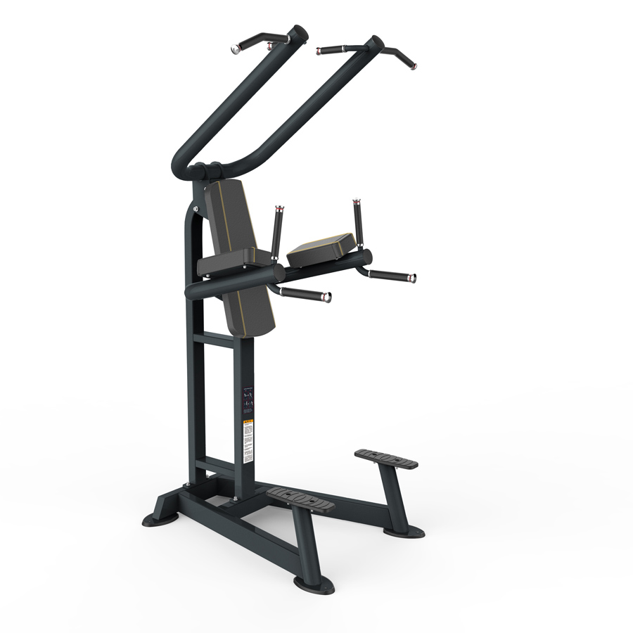 Odin Pro Chin Up Dip Leg Raise - Professionel Træningsstation