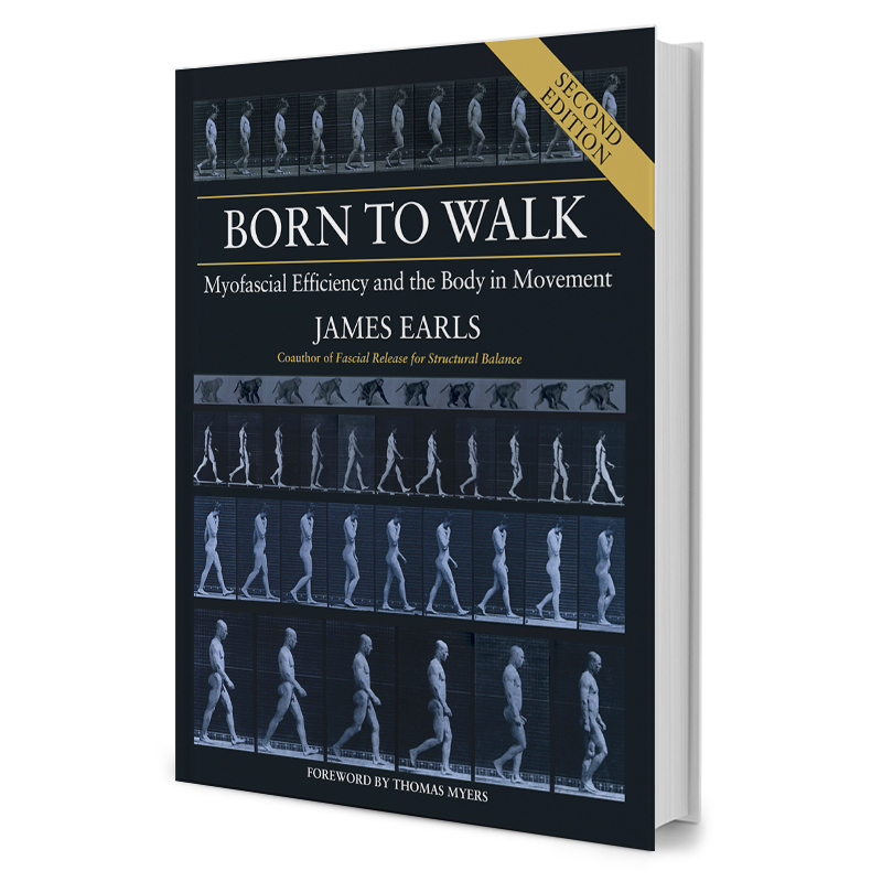 "Born To Walk: Hemmeligheder om effektiv gang"