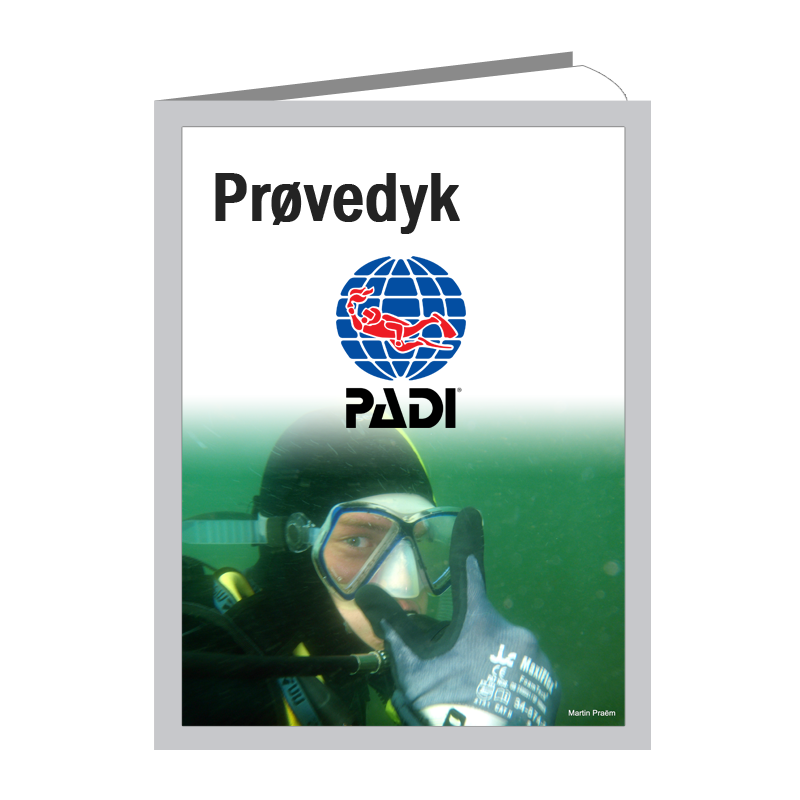 PADI Prøvedyk i Åbent Vand – Oplev Dykning i Dag!