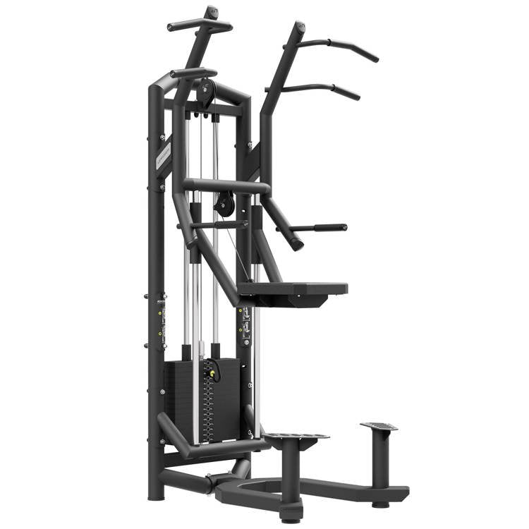 Pullup- og Dipstation fra Upform – Gratis Fragt!