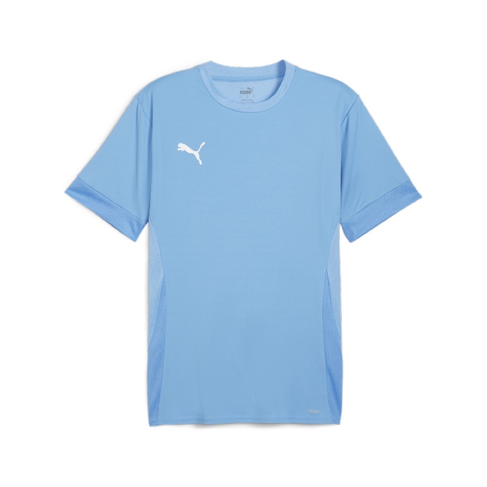 Puma Teamgoal Matchday Trøje i Himmelblå til Mænd