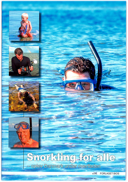 Snorkling For Alle – Din ultimative snorkelguide