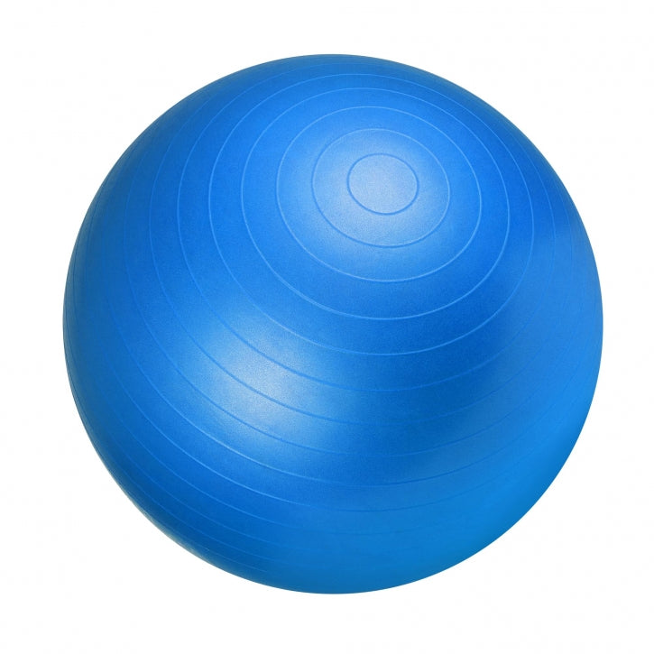 Træningsbold 65 cm Blå – Nordic Strength Tilbud!