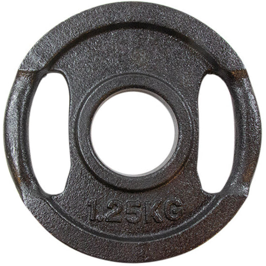 Vægtskive i Sort Metal med Greb - 25 kg Tilbud!