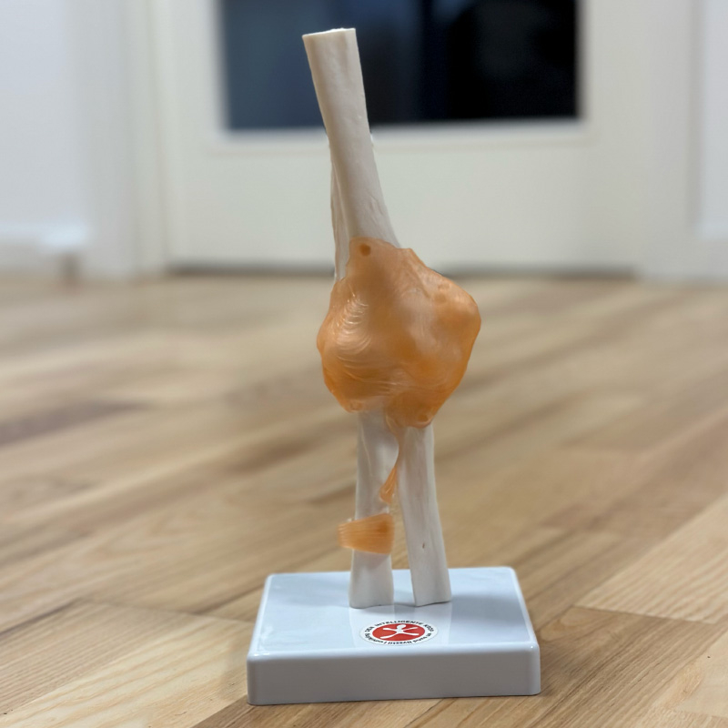 Fleksibelt Albueled til Massage – Perfekt til Undervisning