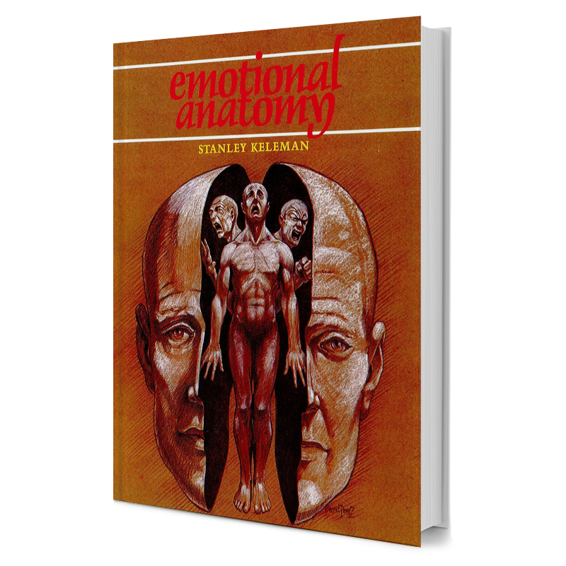 Emotional Anatomy The Structure Of Experience