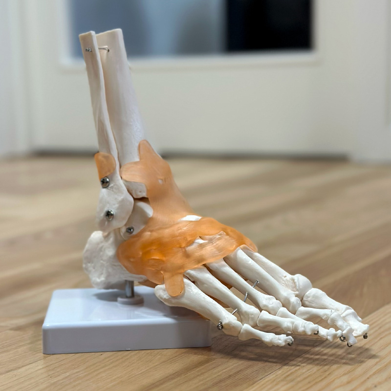 Fodmodel til massagebehandlinger – fantastisk tilbud!
