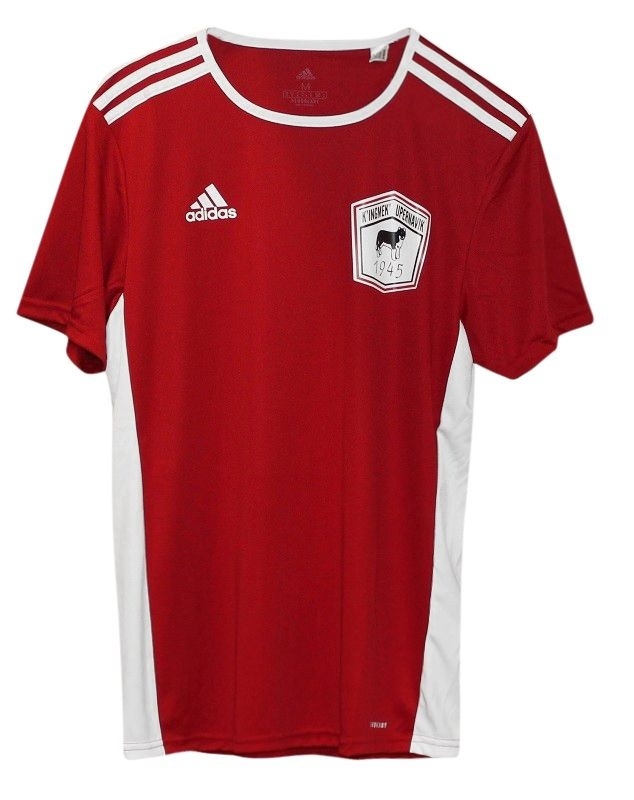 Greenland Entrada Jersey - K'ingmek Upernavik fra Adidas