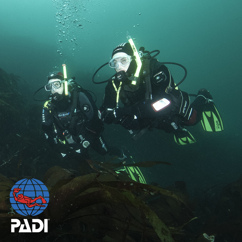 Dykkerkursus for Begyndere – Bliv PADI-certificeret!