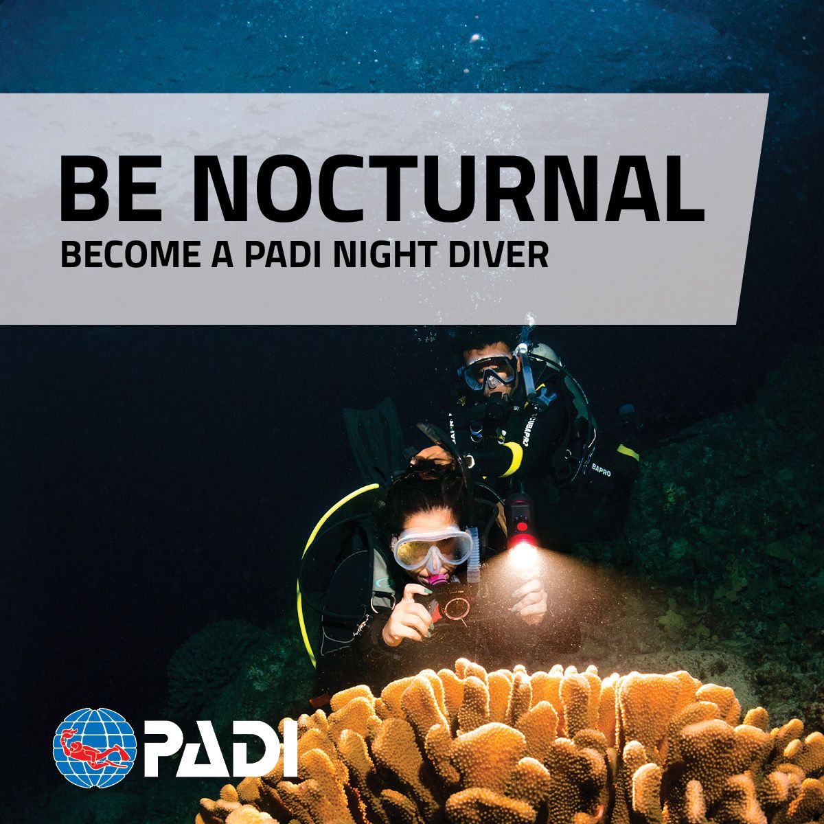 PADI Natdykker Kursus – Oplev Havet i Mørket!