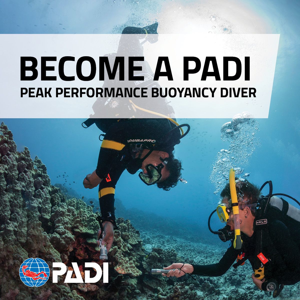 PADI Dykkerkursus: Forbedr Din Flydning og Teknik!